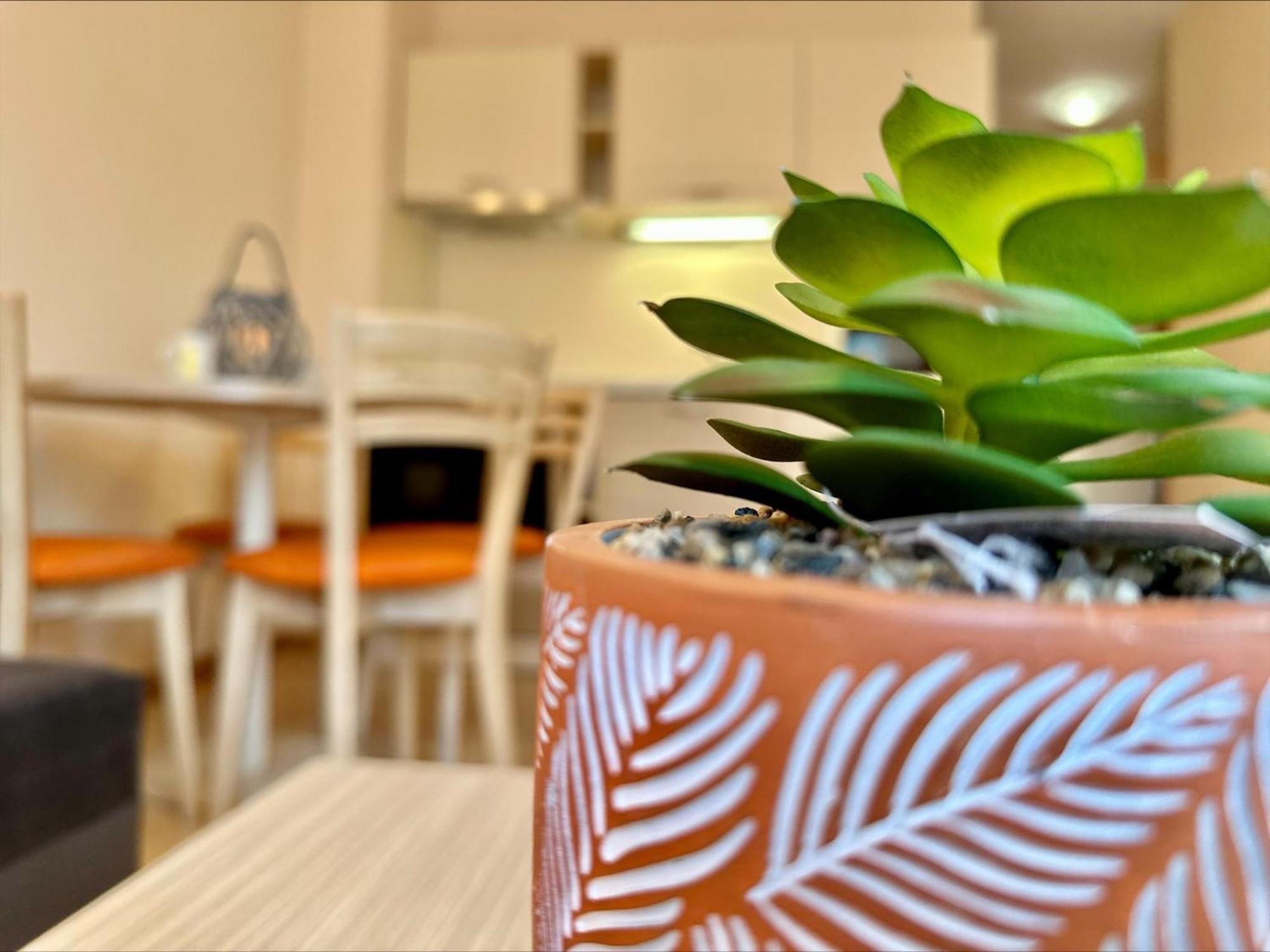 Menada Royal Sun Apartments Slântsjev Brjag Rom bilde